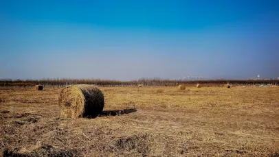 Lucky Pants Bingo Casino Mobile App